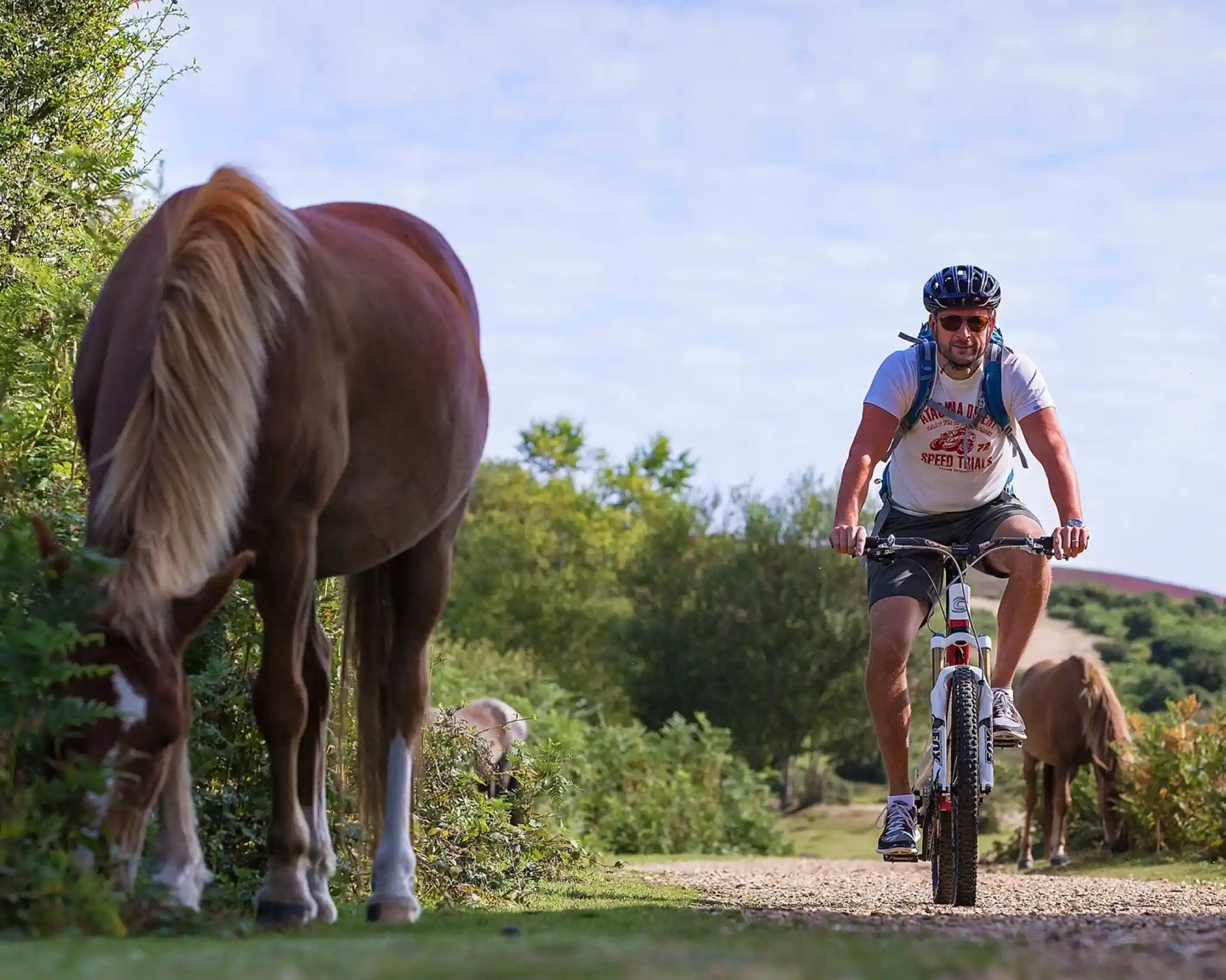 A man riding a mountain bike on a path surrounded by greenery, with horses grazing nearby.