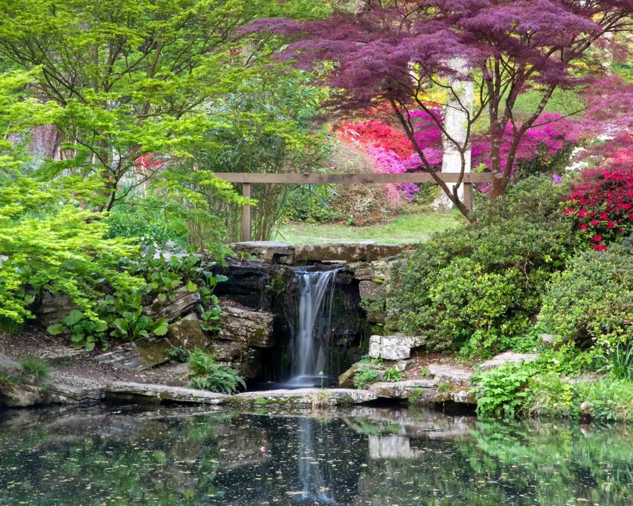 A tranquil garden scene featuring a small waterfall cascading over rocks into a reflective pond. Surrounding the water are lush green plants, colorful azaleas in bloom, and a red-leafed maple tree. A wooden bridge sits in the background, enhancing the serene atmosphere.