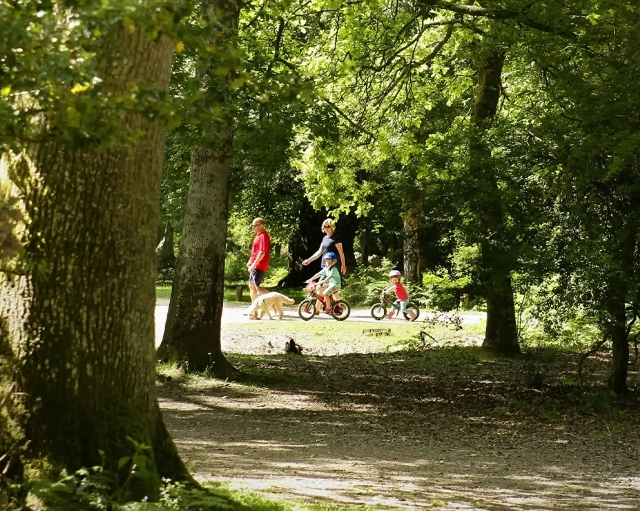 A family walks through a wooded park, with a person walking a dog and two children riding bicycles. Lush green trees surround the path, creating a serene outdoor atmosphere.