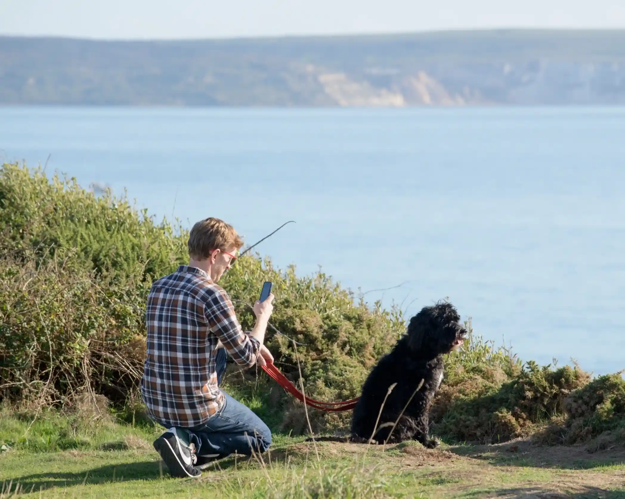 A man in a plaid shirt sits on the grass, using his phone while a black dog sits beside him on a leash. The background features a calm sea and a distant coastline.