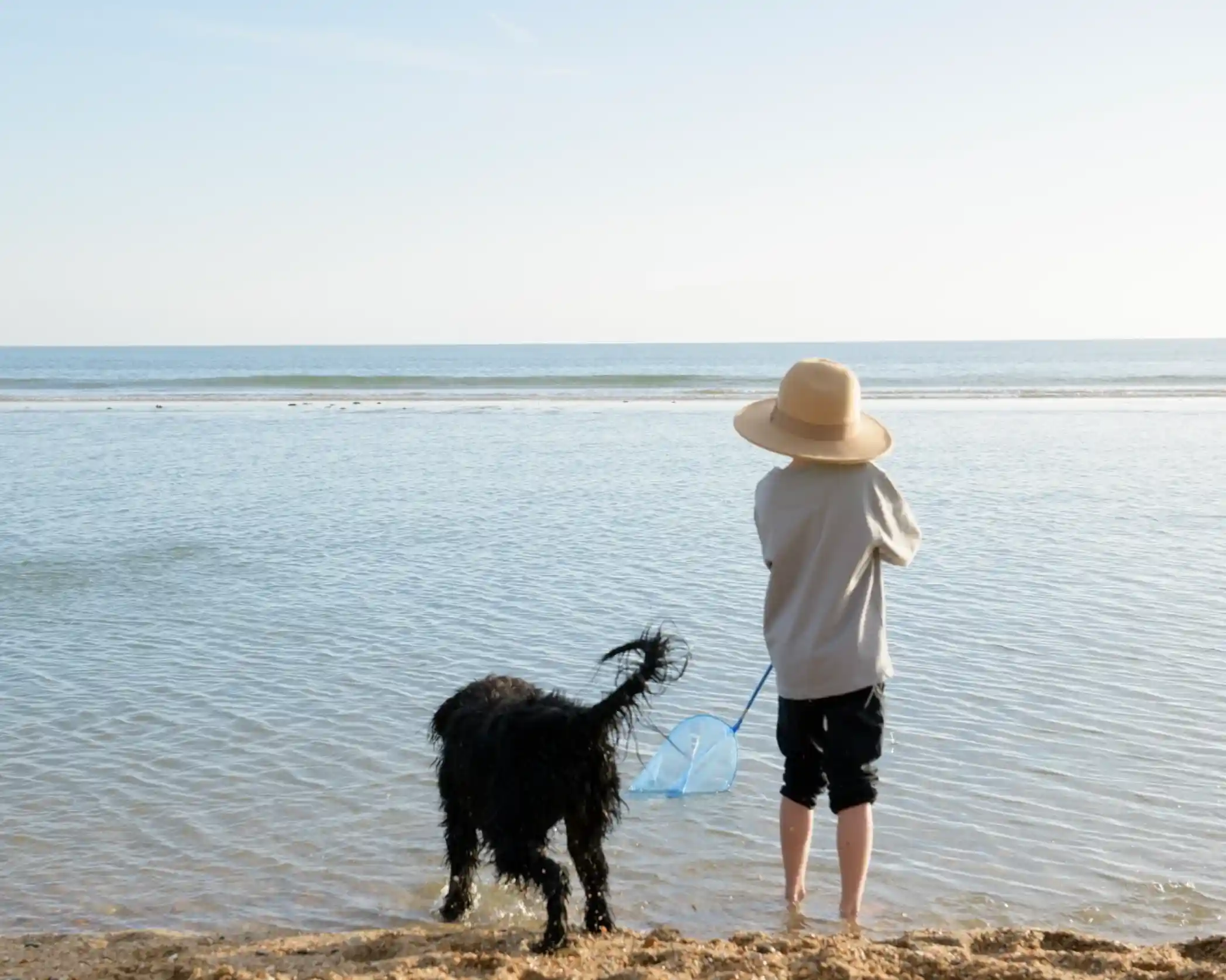 A child in a wide-brimmed hat stands at the edge of the water, holding a net while a black dog splashes nearby. The calm sea stretches out in front of them under a clear sky.