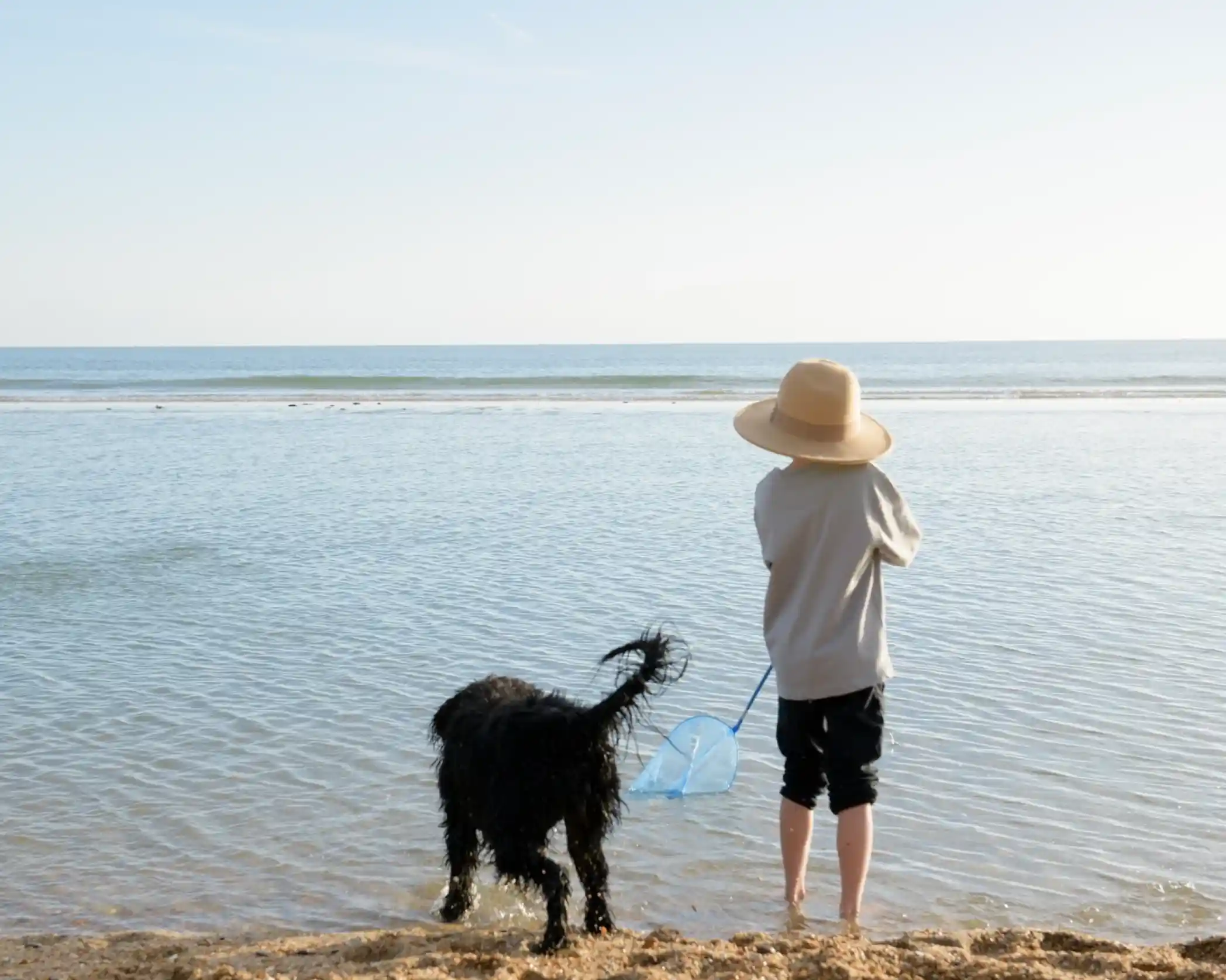 A child in a wide-brimmed hat stands at the edge of the water, holding a net while a black dog splashes nearby. The calm sea stretches out in front of them under a clear sky.