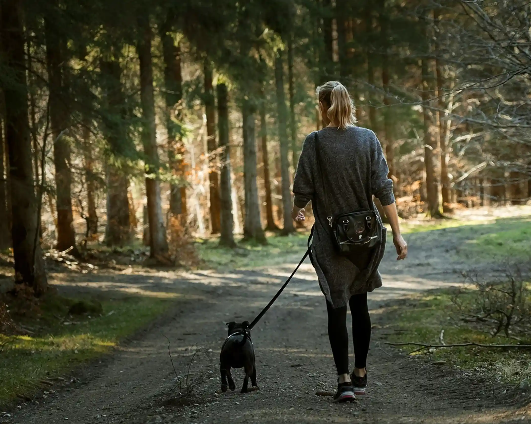 A woman walks a black dog along a dirt path in a forest, surrounded by tall trees and soft sunlight filtering through the leaves.