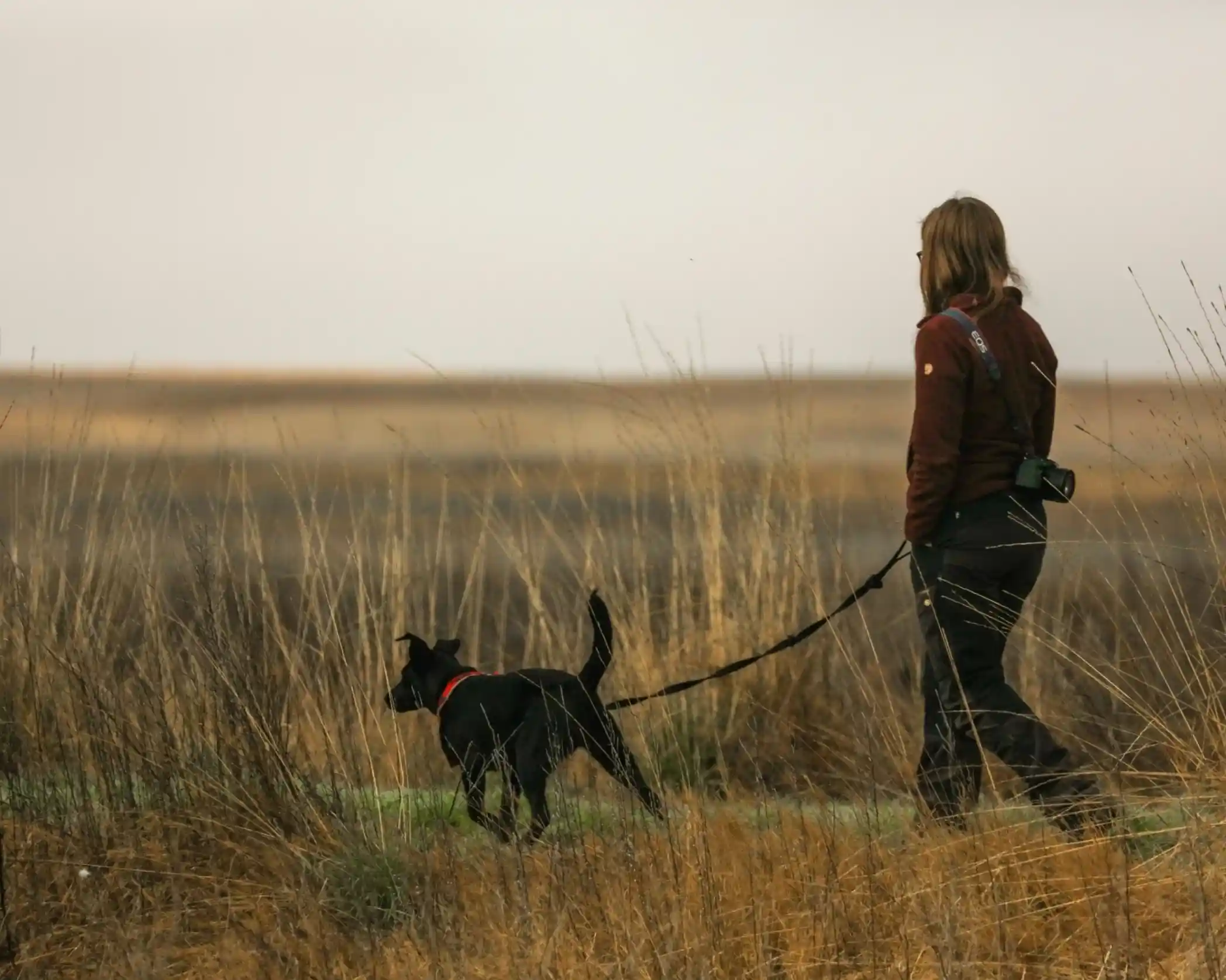 A person walking a black dog on a leash through a grassy, open field. The landscape is vast with tall grass and a hazy sky.