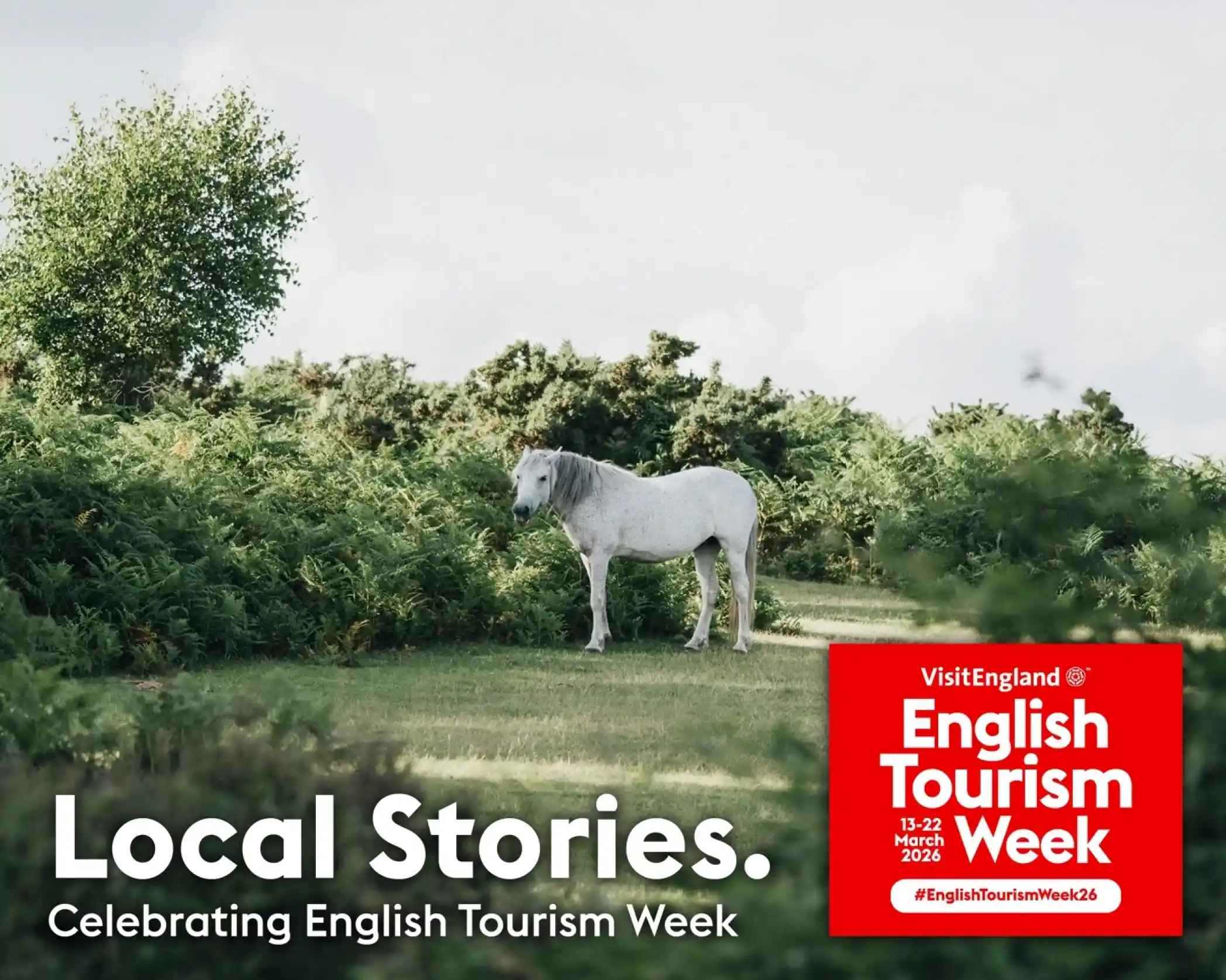 A white horse stands in a lush green landscape surrounded by shrubs. The image includes a text overlay for English Tourism Week, highlighting "Local Stories" and the dates 13-22 March 2026.