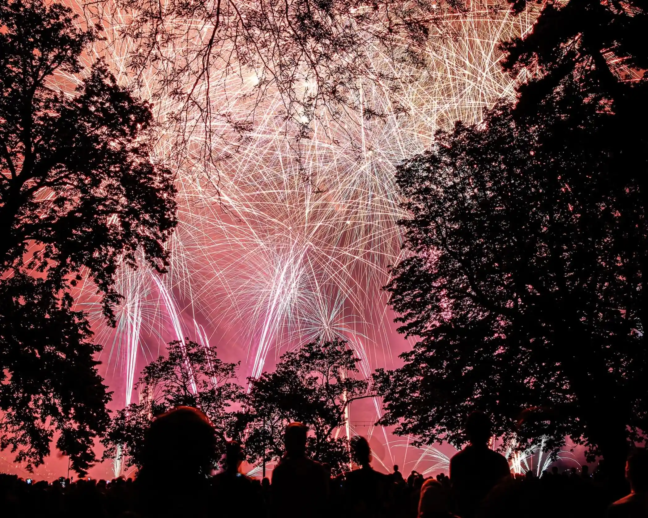 Colorful fireworks burst in the night sky, illuminating it with vibrant reds and whites. Silhouetted trees frame the scene, while a crowd of onlookers watches in awe.