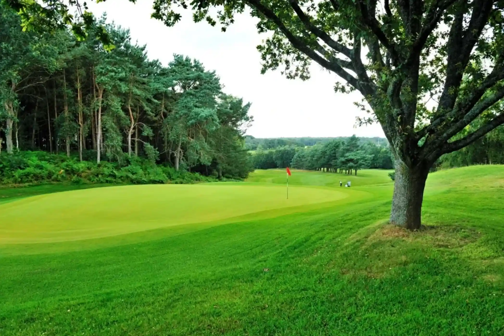 A lush green golf course with a gently sloping landscape, featuring a flagstick on the green and surrounded by trees in the background. The scene is tranquil, evoking a peaceful outdoor environment.