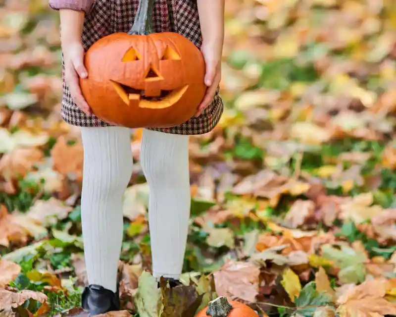 A child holds a carved jack-o'-lantern with a smiling face. They are standing among colorful autumn leaves, wearing a plaid dress and white tights.