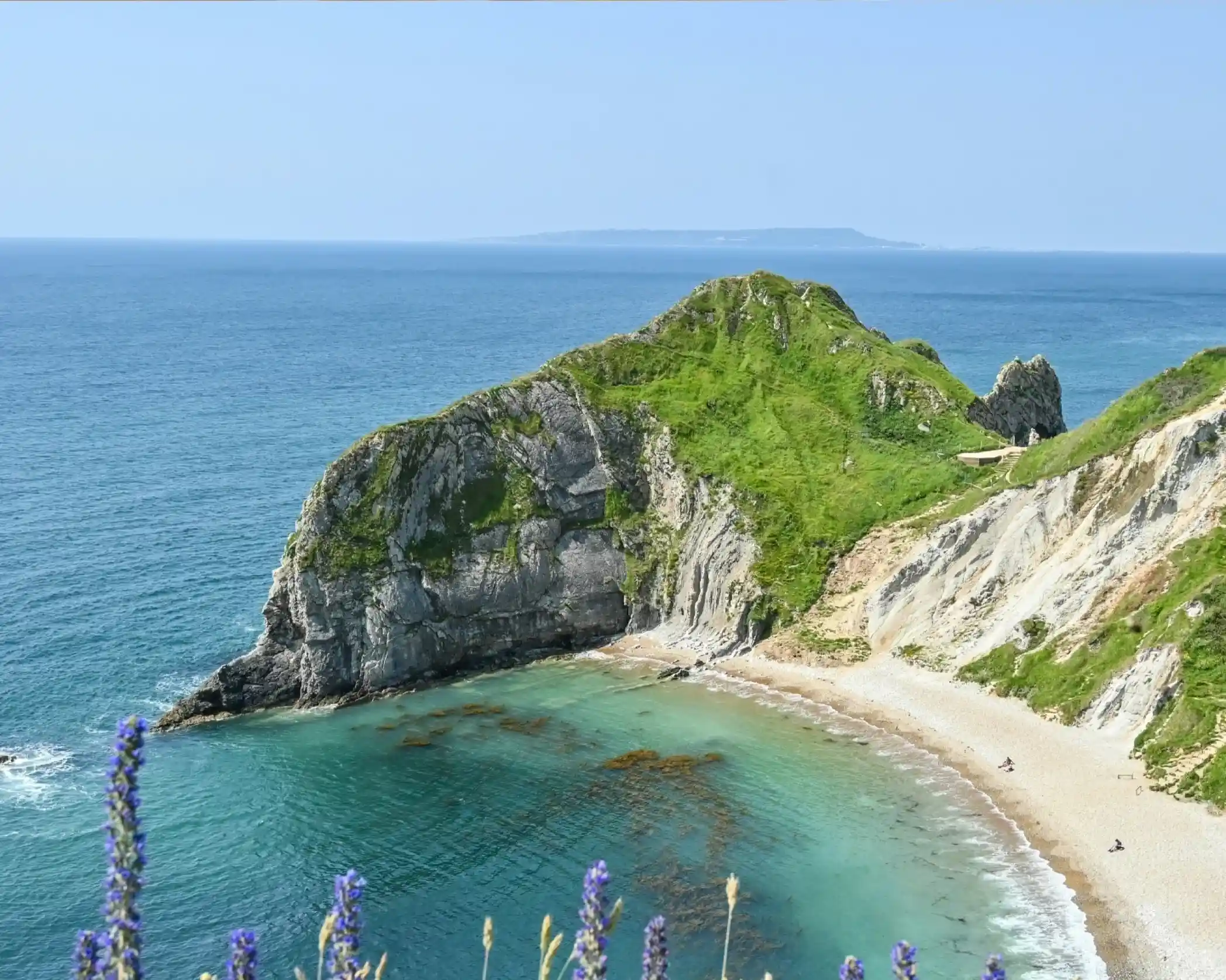 A coastal view featuring a rocky cliff covered in green vegetation, leading to a sandy beach with clear blue waters. In the distance, an outline of another landmass is visible under a clear blue sky. Purple flowers are in the foreground.