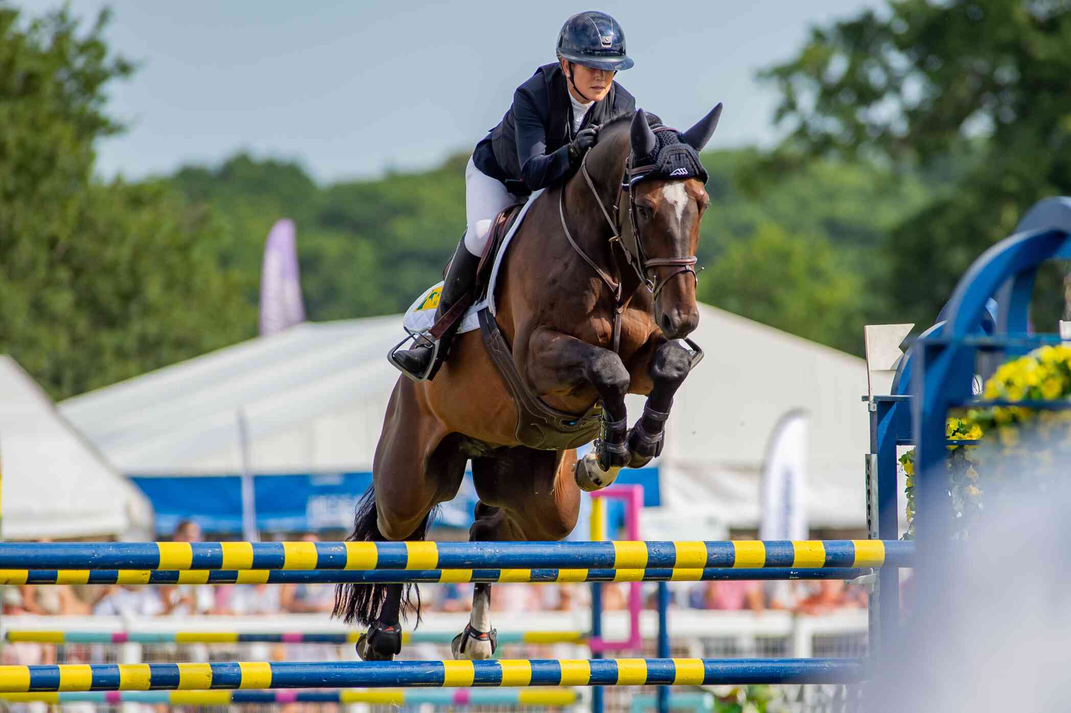A rider in equestrian gear guiding a horse over a colorful jump at an outdoor competition. The background features a blurred crowd and tents.