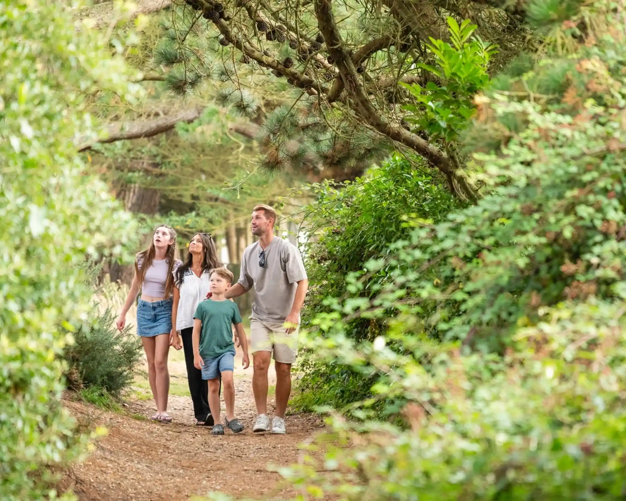 A family of four, including two teenagers and a young boy, walking along a wooded path, looking up at the trees above. Lush greenery surrounds them, creating a serene outdoor atmosphere.