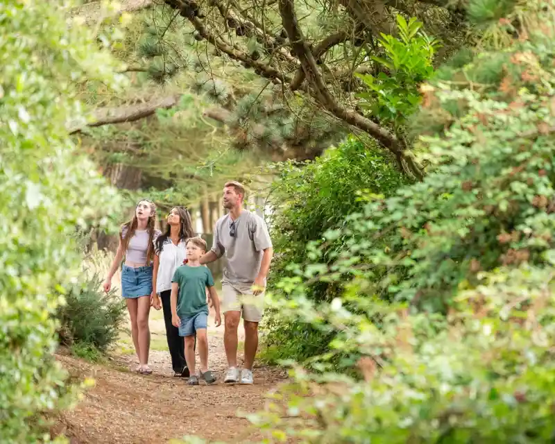 A family of four, including two teenagers and a young boy, walking along a wooded path, looking up at the trees above. Lush greenery surrounds them, creating a serene outdoor atmosphere.