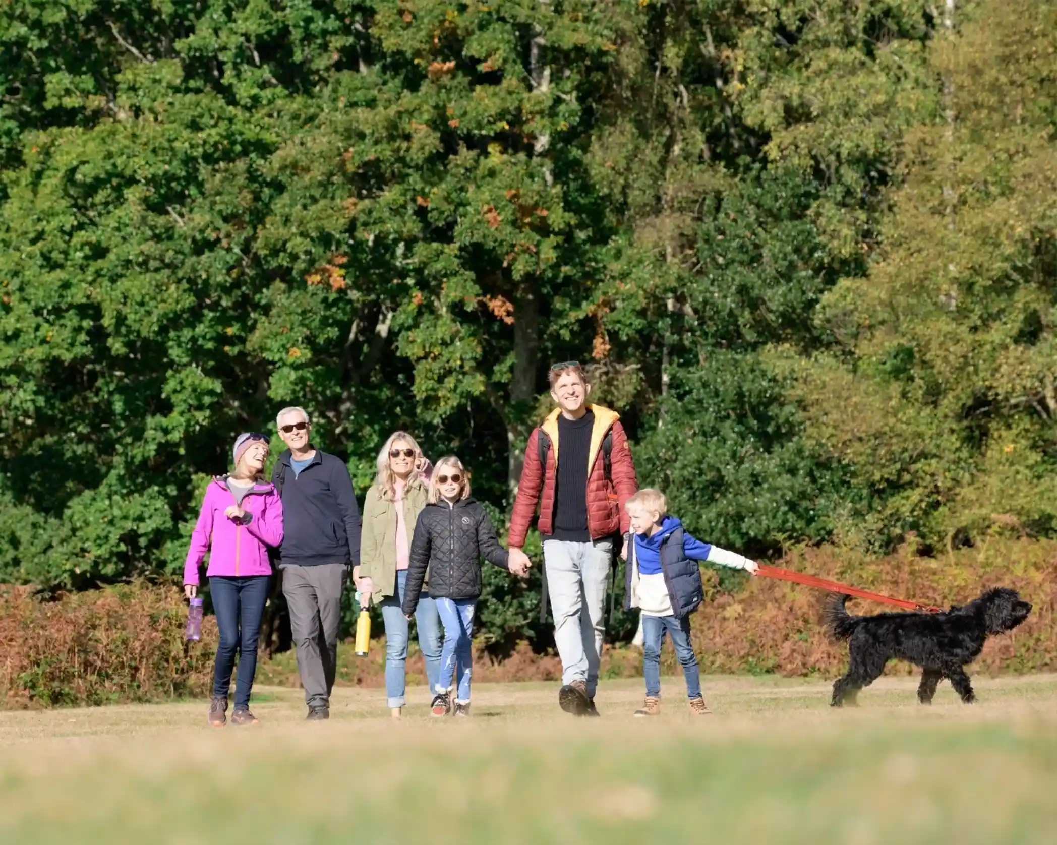 A group of six people strolls through a sunny park, with green trees in the background. They are casually dressed and smiling, enjoying the outdoors. A black dog is being walked by a young child.