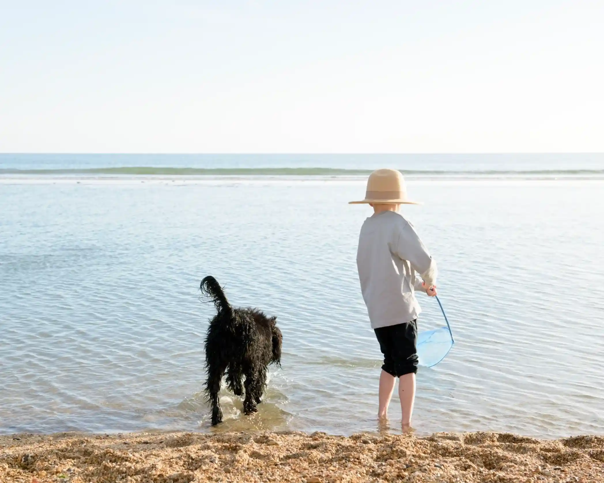 A child wearing a wide-brimmed hat stands at the edge of a calm beach, holding a net, while a black dog wades in the shallow water. The sun shines brightly in the sky, reflecting on the water's surface.