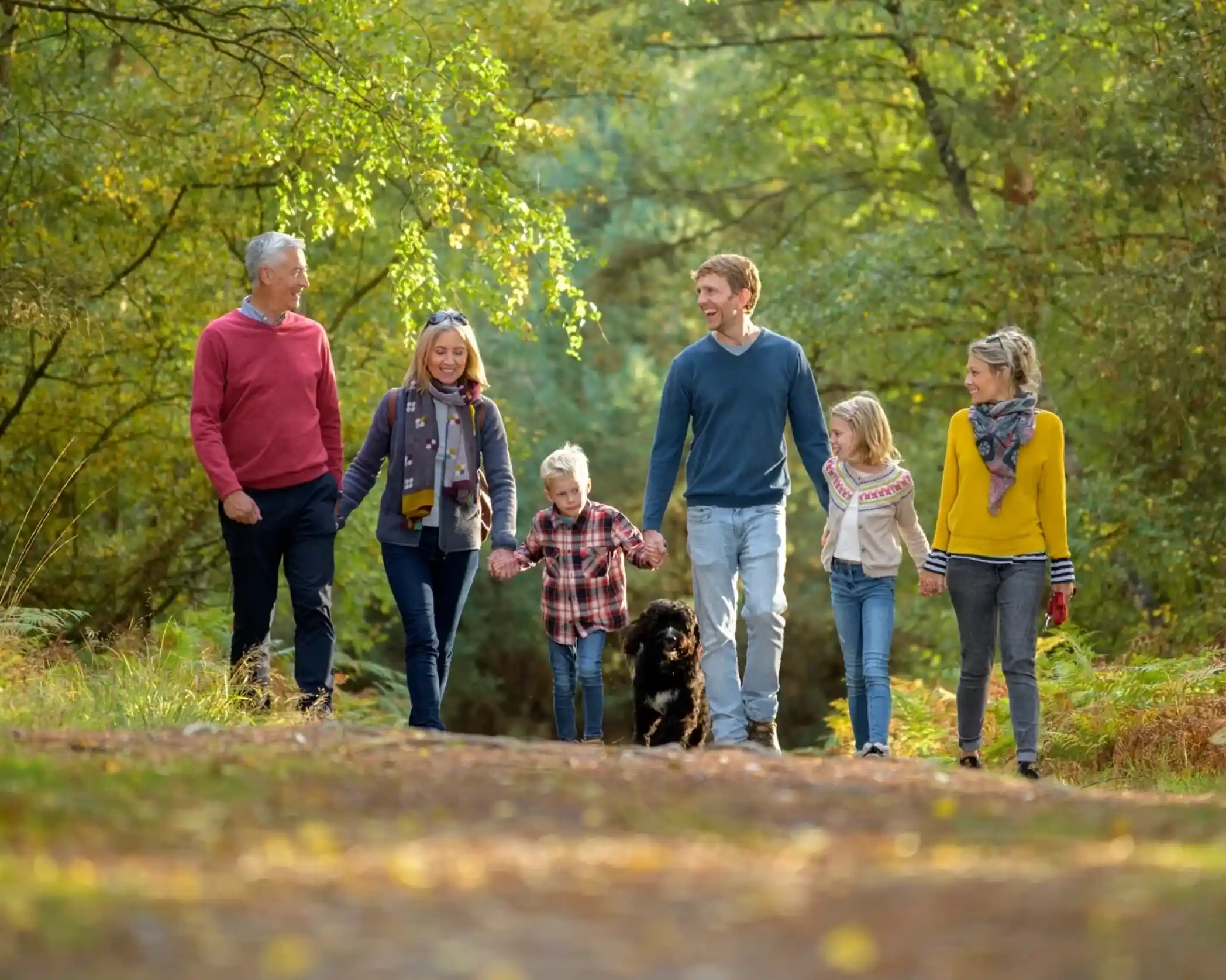 A family of six walks together on a forest path, accompanied by a black dog. They are dressed in casual autumn outfits with warm colors. Lush green trees and autumn foliage create a serene backdrop.