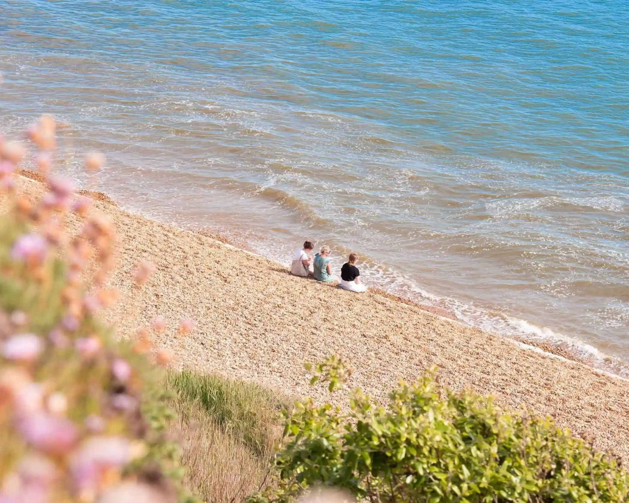 Three people sit on a sandy beach near the water's edge, with gentle waves lapping at the shore. Colorful flowers frame the scene, creating a serene coastal atmosphere.