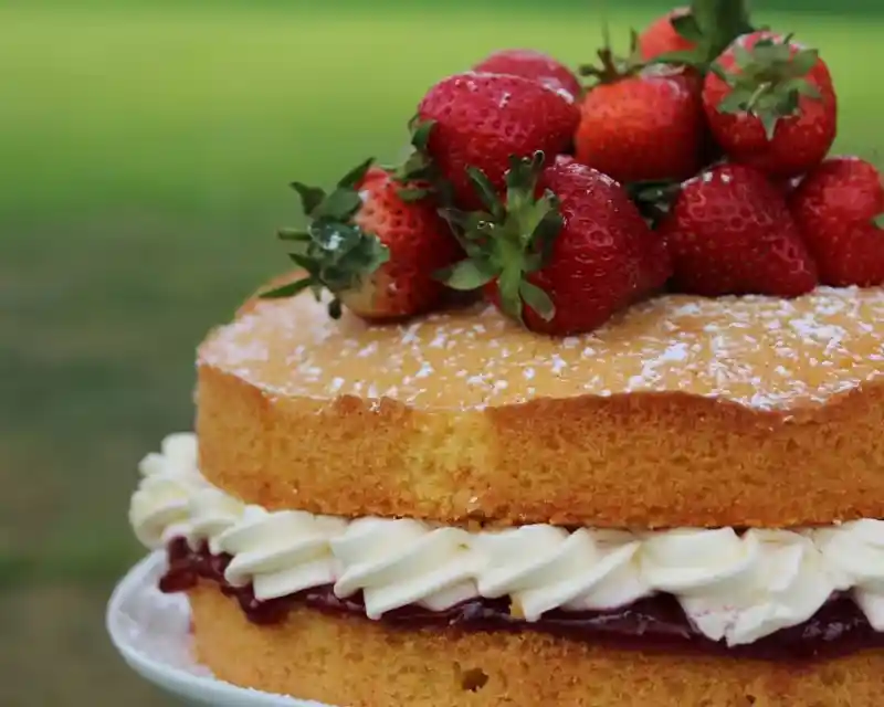 A layered sponge cake topped with fresh strawberries and dusted with powdered sugar. The cake has a filling of whipped cream and jam visible between the layers.