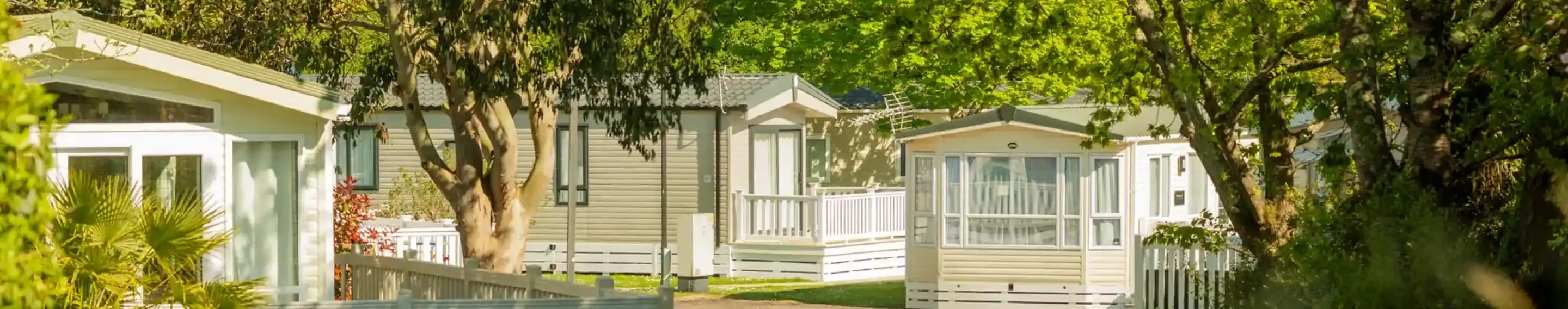 A peaceful holiday park featuring several mobile homes surrounded by lush green trees and well-maintained pathways. Bright sunlight filters through the foliage, casting a warm glow on the scene.