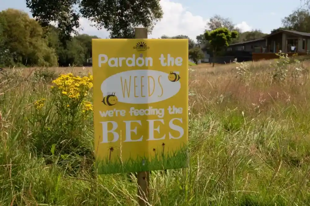 A yellow sign in a grassy area reads "Pardon the Weeds, we're feeding the Bees," with a sunny sky and trees in the background.