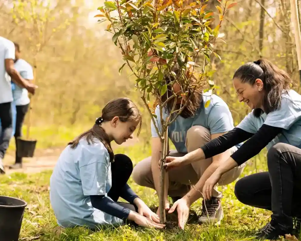A group of volunteers plants a young tree in a green area. A girl and two women kneel beside the tree, working together to secure it in the soil. In the background, other volunteers are seen planting trees as well. Everyone wears light blue t-shirts, enjoying a sunny day outdoors.