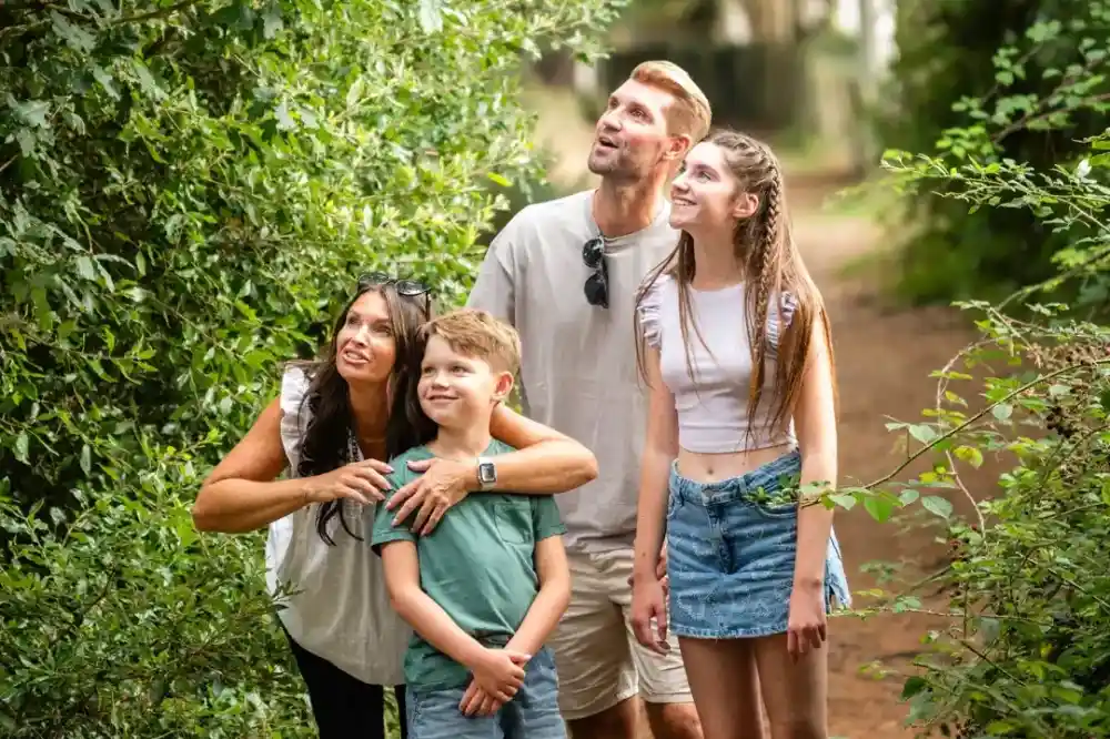 A family stands together in a lush green forest, looking up in awe. The woman on the left points towards something in the trees while a boy with a smile stands beside her. A man and a teenage girl gaze upward, sharing the moment.