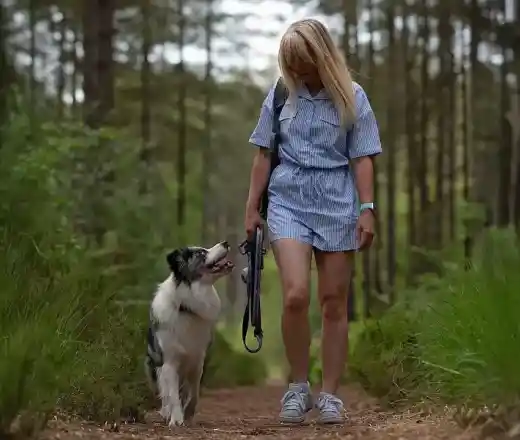 A woman in a light blue romper walks a dog along a dirt path in a wooded area, surrounded by tall trees and greenery. The dog looks up at her happily.