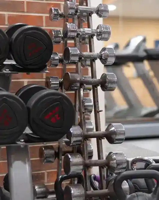 A rack of various weights, including dumbbells, stands against a brick wall, with treadmills visible in the background of a gym.