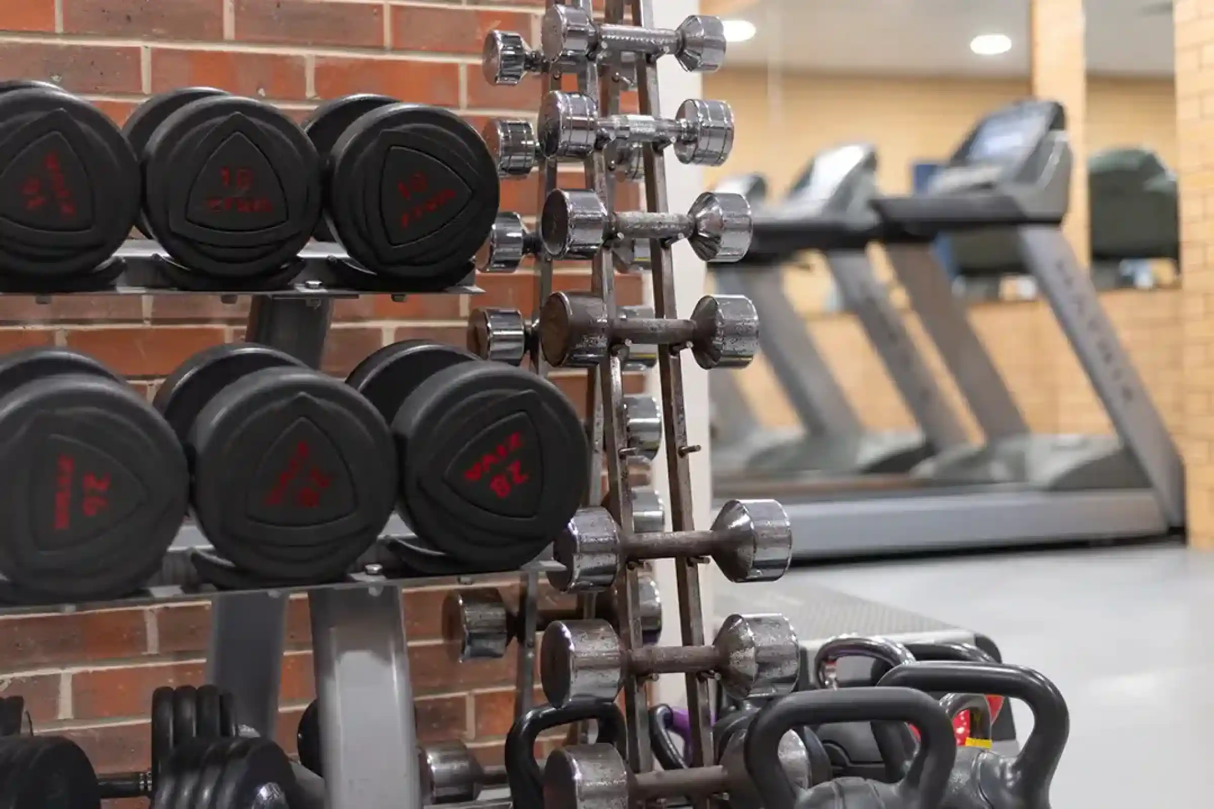 A rack of various weights, including dumbbells, stands against a brick wall, with treadmills visible in the background of a gym.