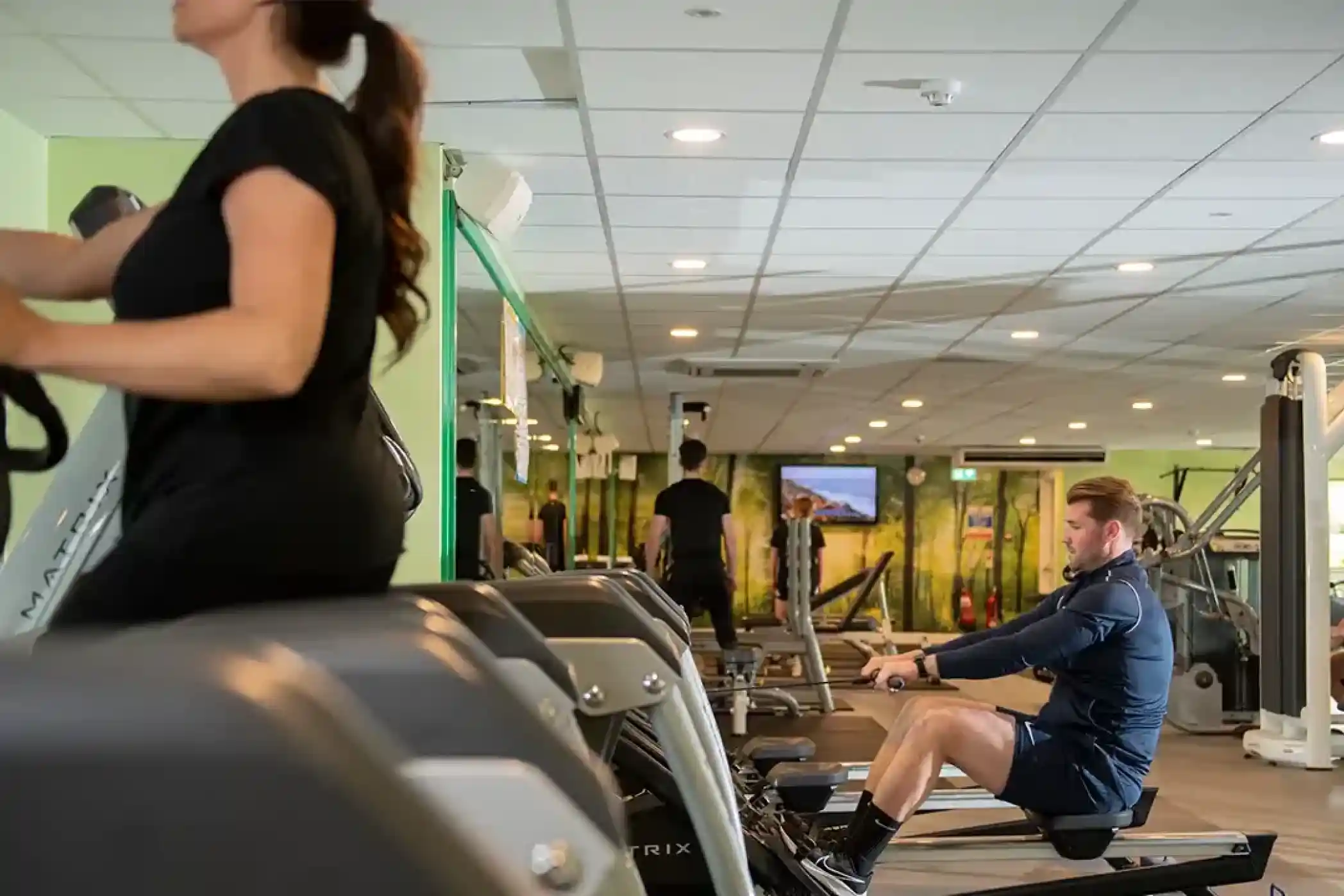 Gym scene featuring two individuals exercising. One person is using a rowing machine, while another is on a treadmill in the background. The environment is bright and well-equipped with fitness machines.
