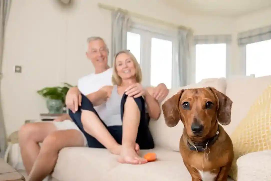 A dachshund sits on a couch in front of a smiling older couple.