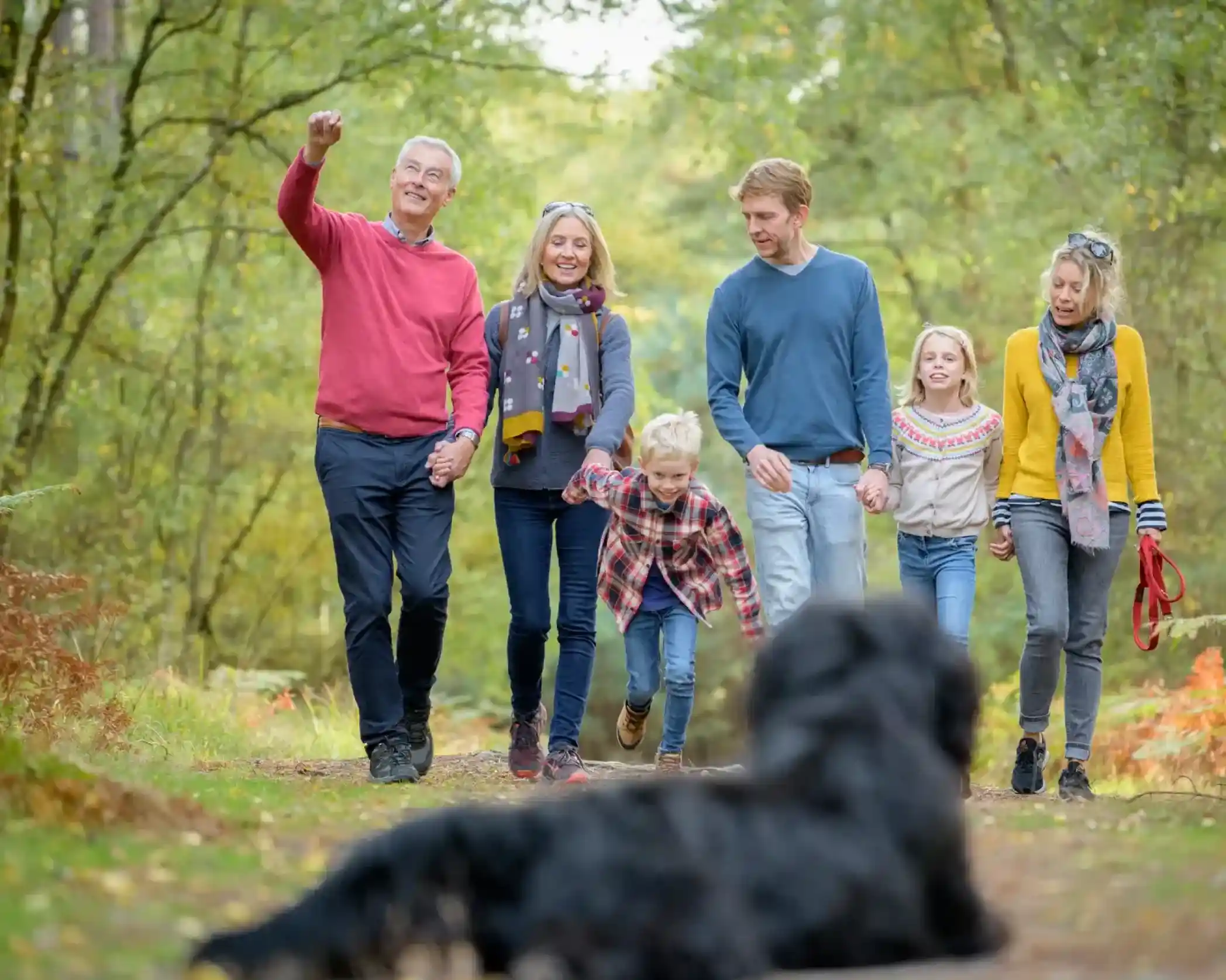 A family and their dog enjoy a walk in an autumn forest.