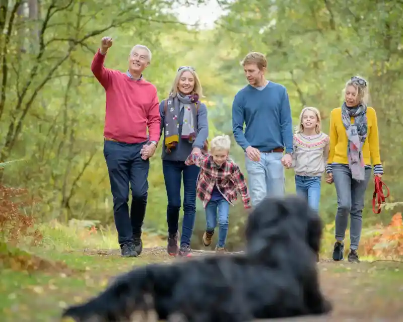 A family and their dog enjoy a walk in an autumn forest.
