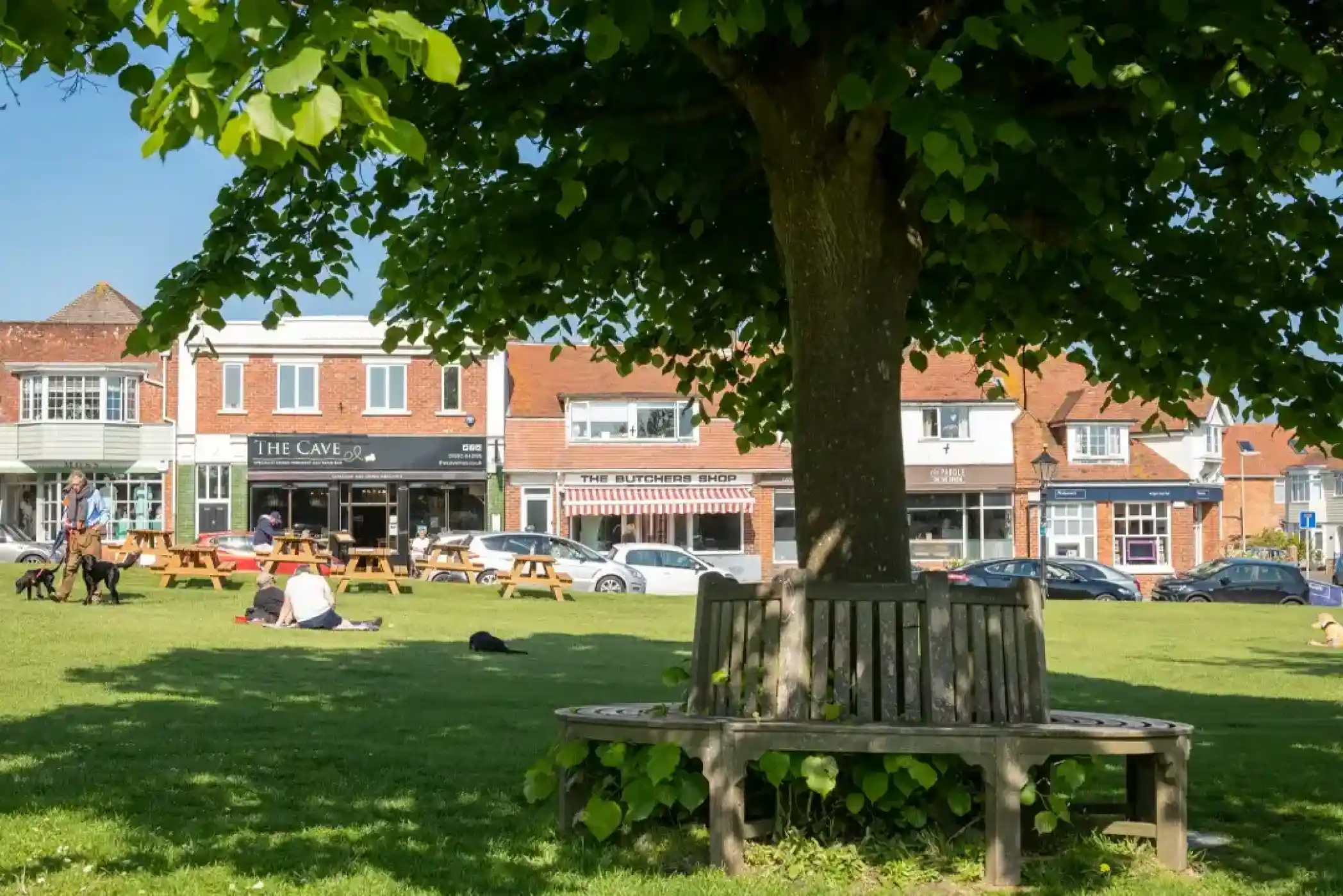 People and dogs relax on a sunny green lawn in front of shops, with a large tree and curved bench in the foreground.