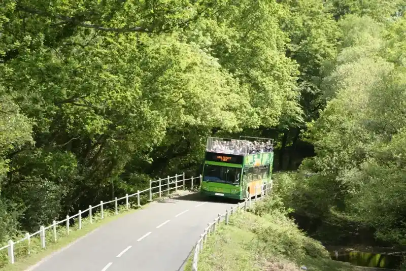 A green double-decker bus with passengers on the top deck drives along a road bordered by trees and a white railing.