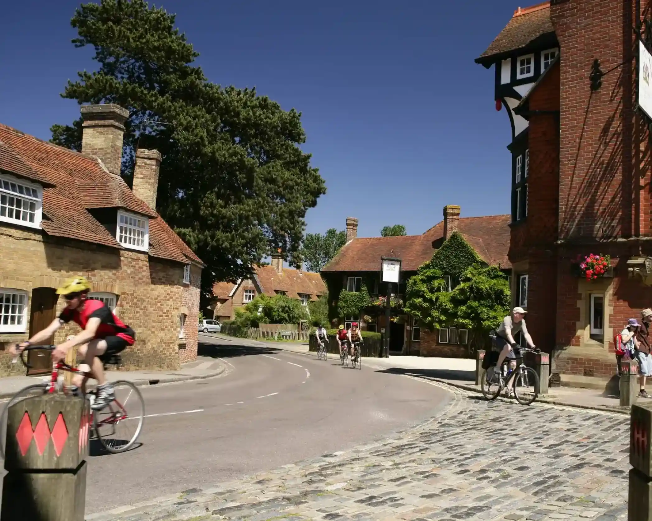 Cyclists ride past charming brick buildings and a large pine tree on a sunny day.