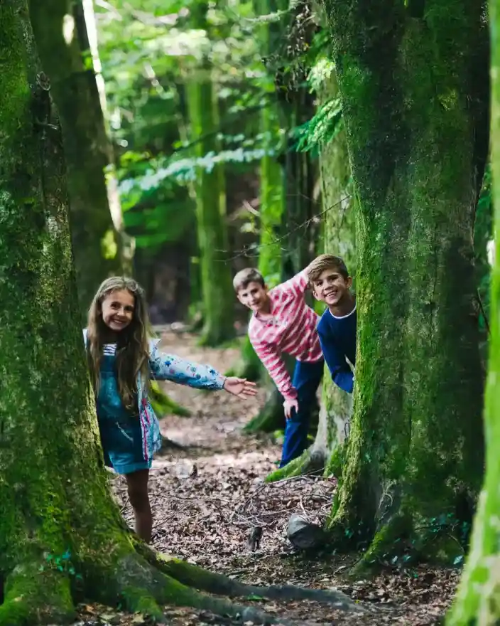Three children play hide-and-seek behind moss-covered trees in a lush forest.