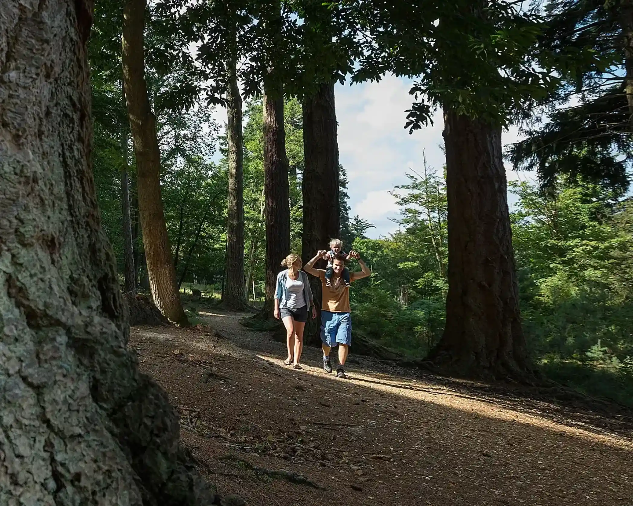 A family walks down a sun-dappled forest path with a child on their father's shoulders.