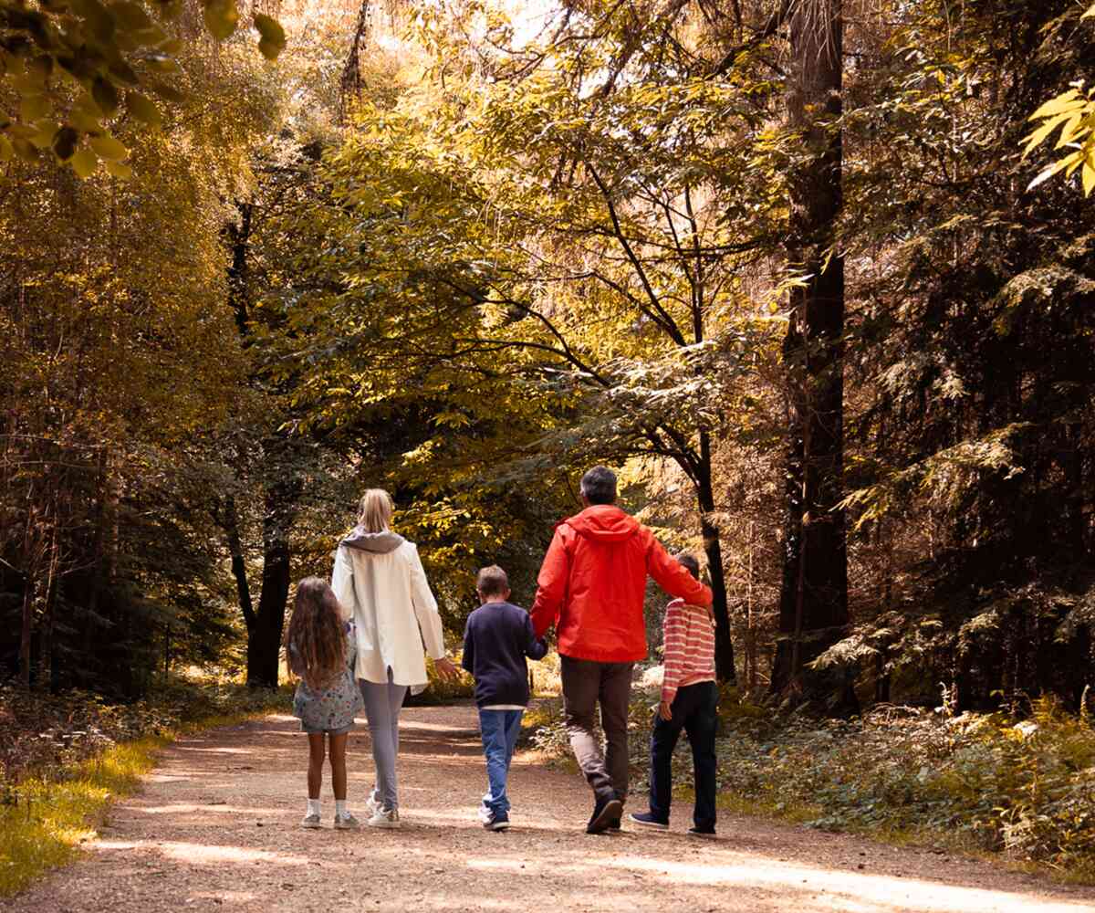 A group of animated characters from a children's show stands together, wearing colorful outfits. They are set against a backdrop of amusement park attractions, including colorful hot air balloons. The characters are smiling and appear cheerful.