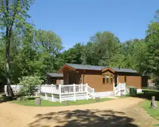 A wooden cabin surrounded by greenery and trees, featuring a white railing and a gravel pathway leading up to it. Clear blue sky above.