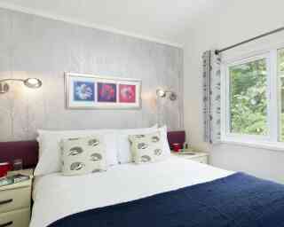 A cozy bedroom featuring a large bed with white linens and decorative pillows. A wall with floral artwork in red and blue complements light-colored walls adorned with a tree pattern. Two bedside tables with red cups sit on either side of the bed, and a window offers a view of greenery outside.