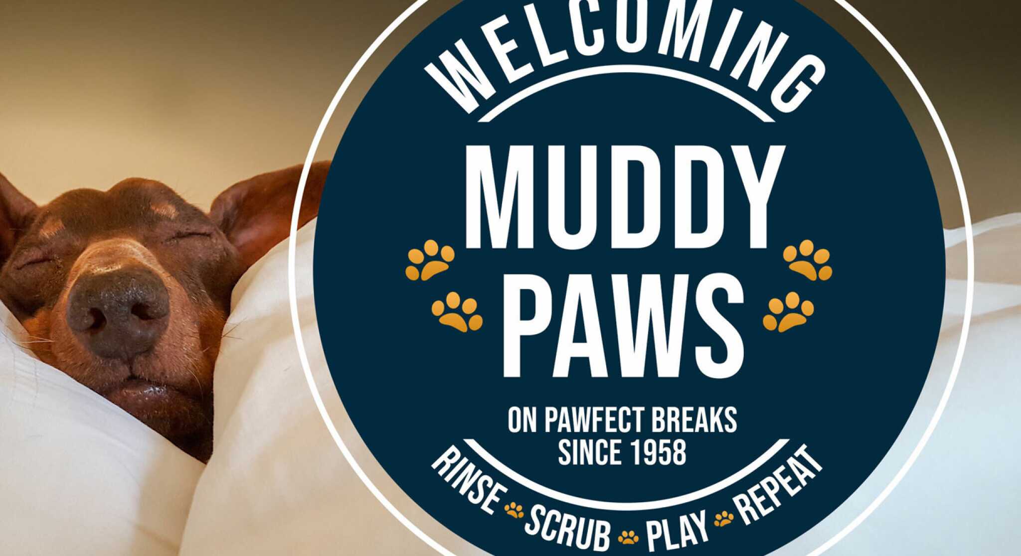 A relaxed dog sleeps peacefully on a dog bed, surrounded by white blankets. The text overlay reads "Welcoming Muddy Paws on Pawfect Breaks Since 1958" with additional phrases "Rinse, Scrub, Play, Repeat" and paw prints.