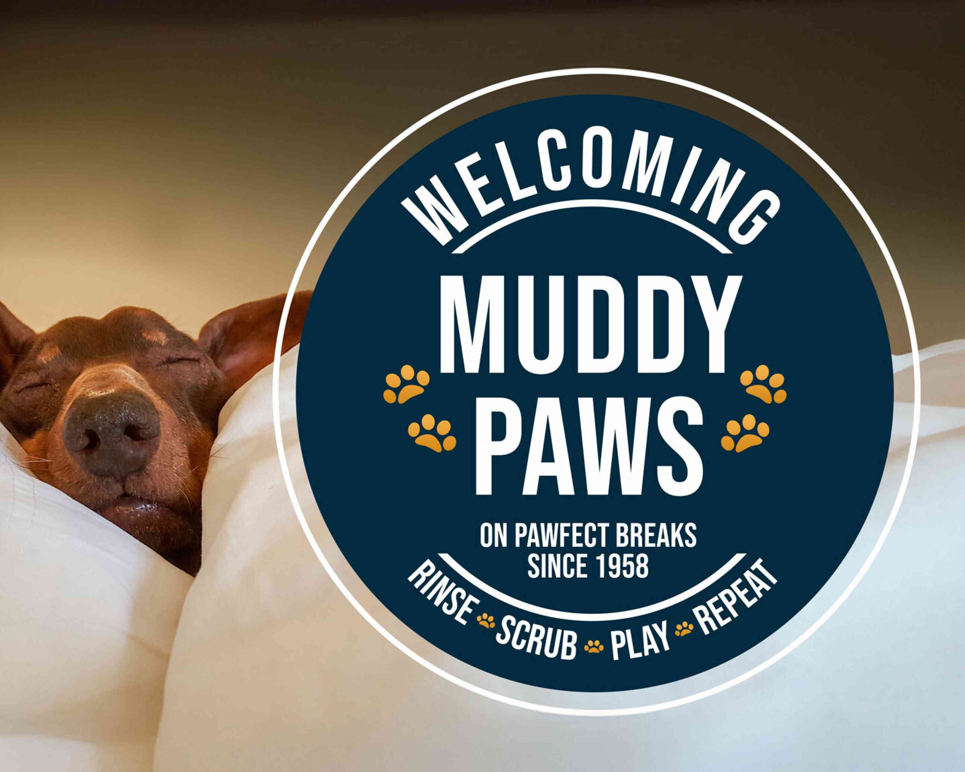 A relaxed dog sleeps peacefully on a dog bed, surrounded by white blankets. The text overlay reads "Welcoming Muddy Paws on Pawfect Breaks Since 1958" with additional phrases "Rinse, Scrub, Play, Repeat" and paw prints.