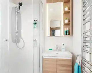 A modern bathroom featuring a glass shower enclosure with a rainfall showerhead. A sleek vanity with a white sink and wooden cabinets is visible, along with a large mirror above it. Shelves with green plants and toiletries are mounted on the wall. A blue towel hangs on a heated towel rail.
