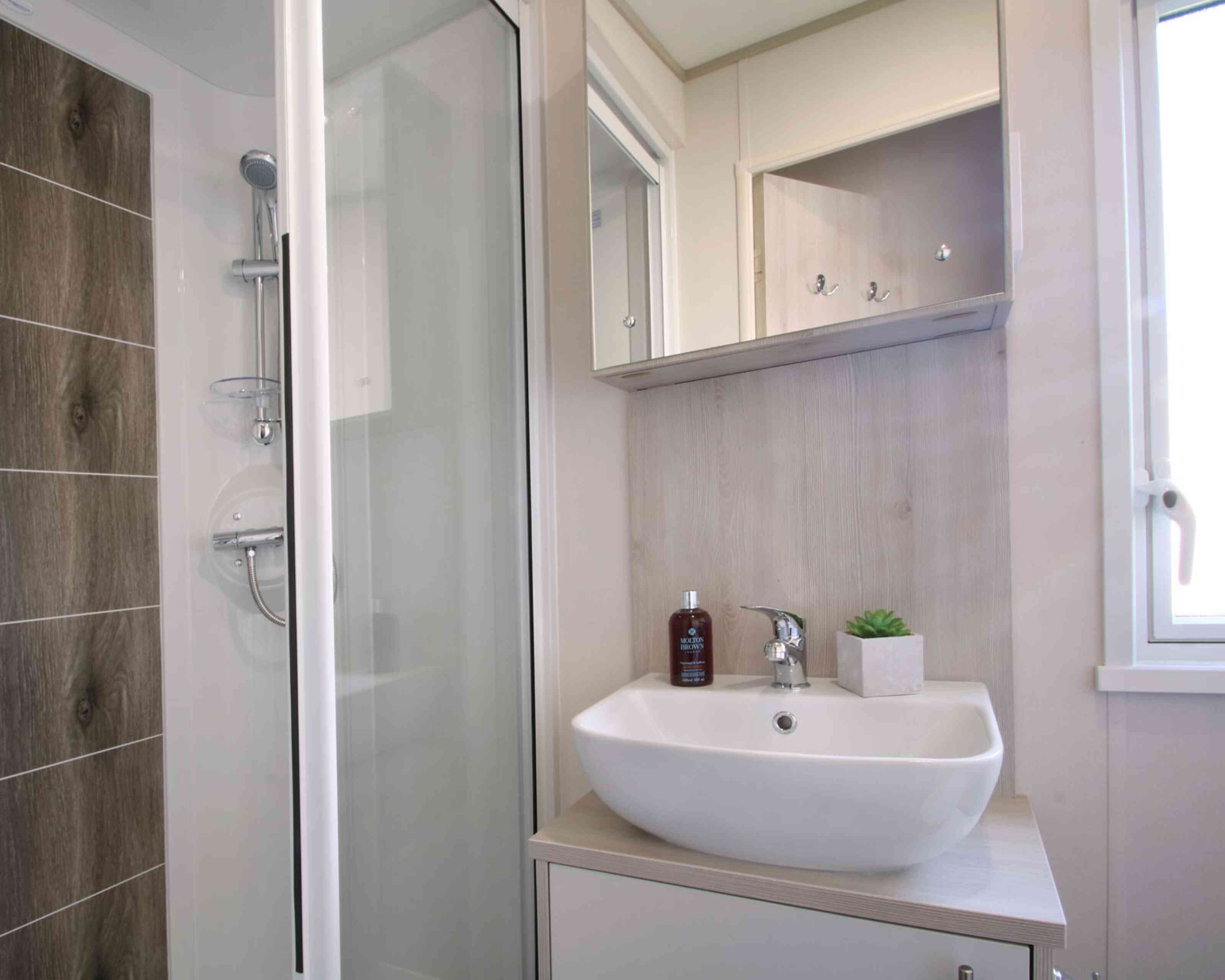 Modern bathroom featuring a glass shower enclosure, a contemporary sink with a sleek faucet, and a small potted plant on a wooden countertop. A mirror above the sink reflects the light from a nearby window.