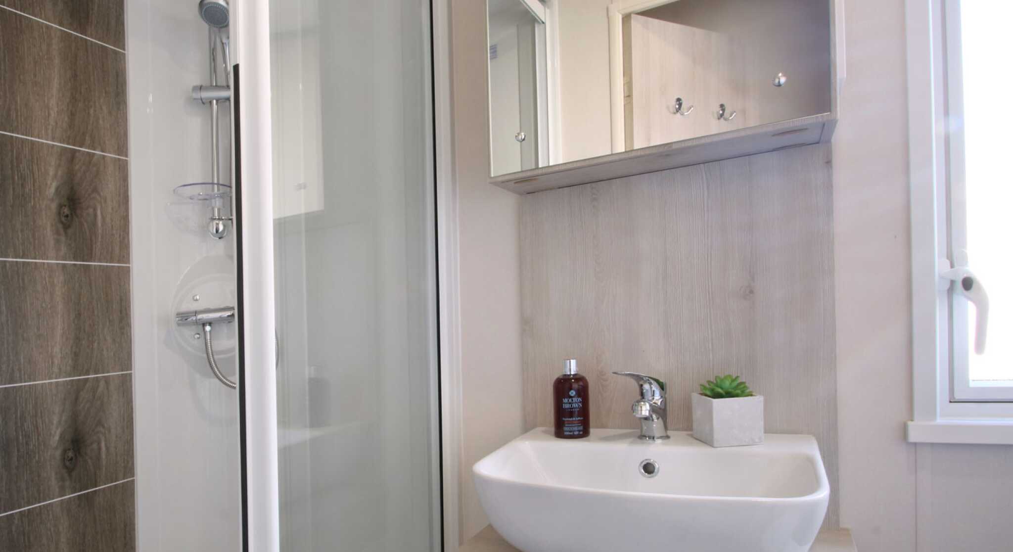 Modern bathroom featuring a glass shower enclosure, a contemporary sink with a sleek faucet, and a small potted plant on a wooden countertop. A mirror above the sink reflects the light from a nearby window.