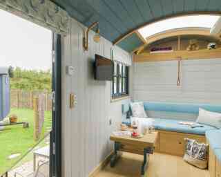 Cozy interior of a modern tiny home with a curved ceiling. A blue sofa is against the wall, accompanied by a small wooden table set with snacks and drinks. A wall-mounted TV is visible, along with decorative items like a teddy bear. Large windows provide views of a green outdoor space.