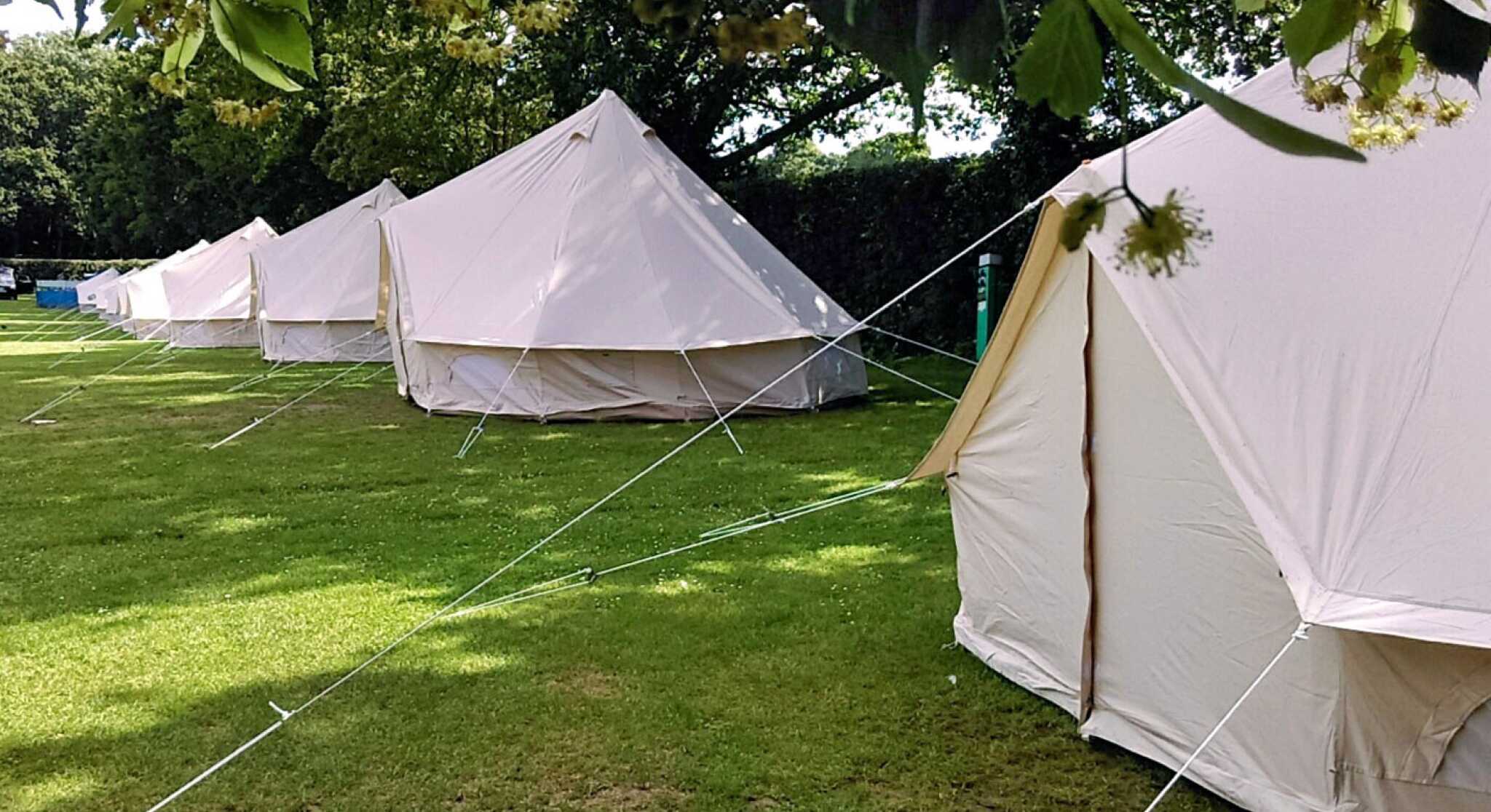 A row of white tents set up on a grassy field, surrounded by trees. The tents are neatly aligned, with ropes securing them to the ground.