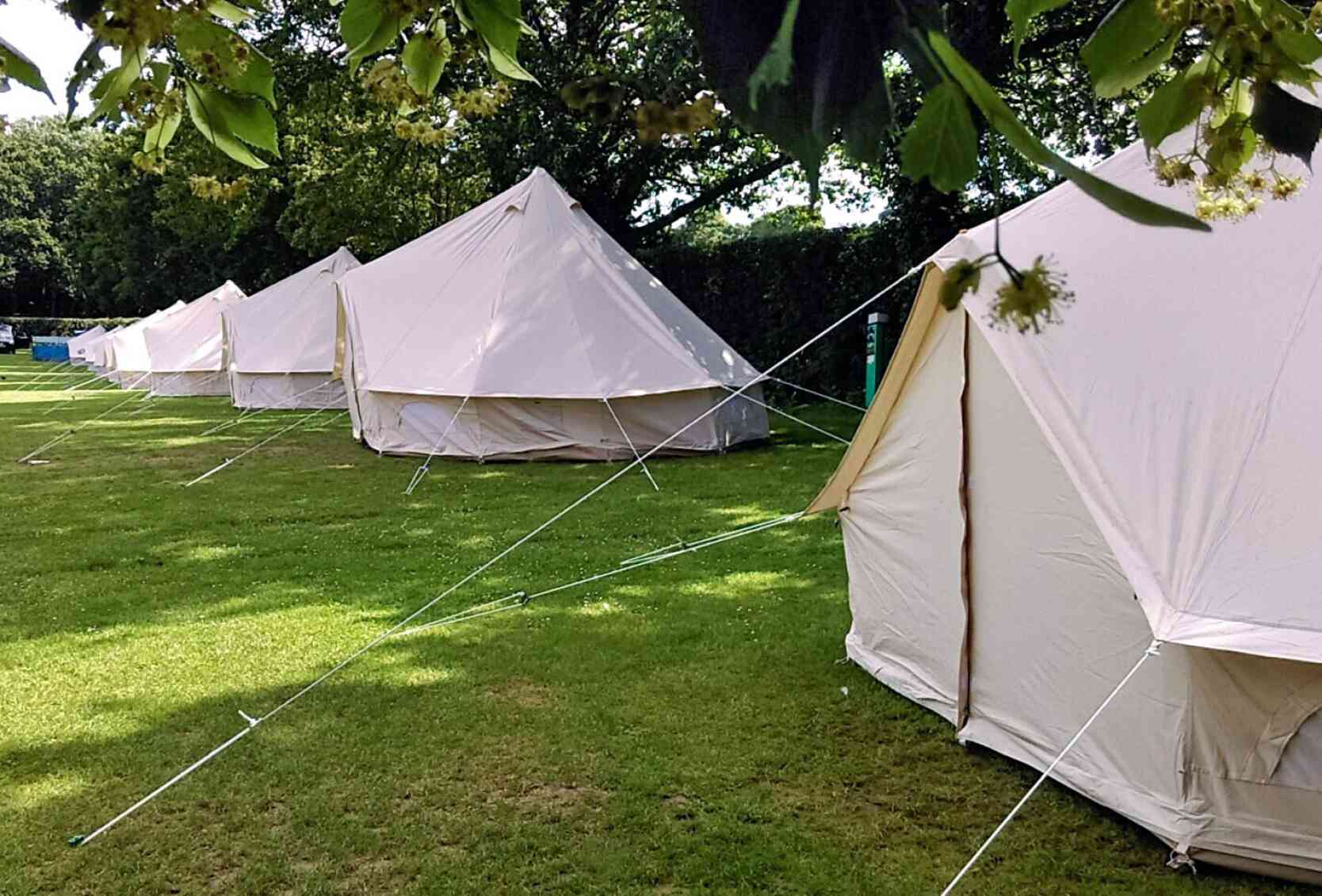A row of white tents set up on a grassy field, surrounded by trees. The tents are neatly aligned, with ropes securing them to the ground.