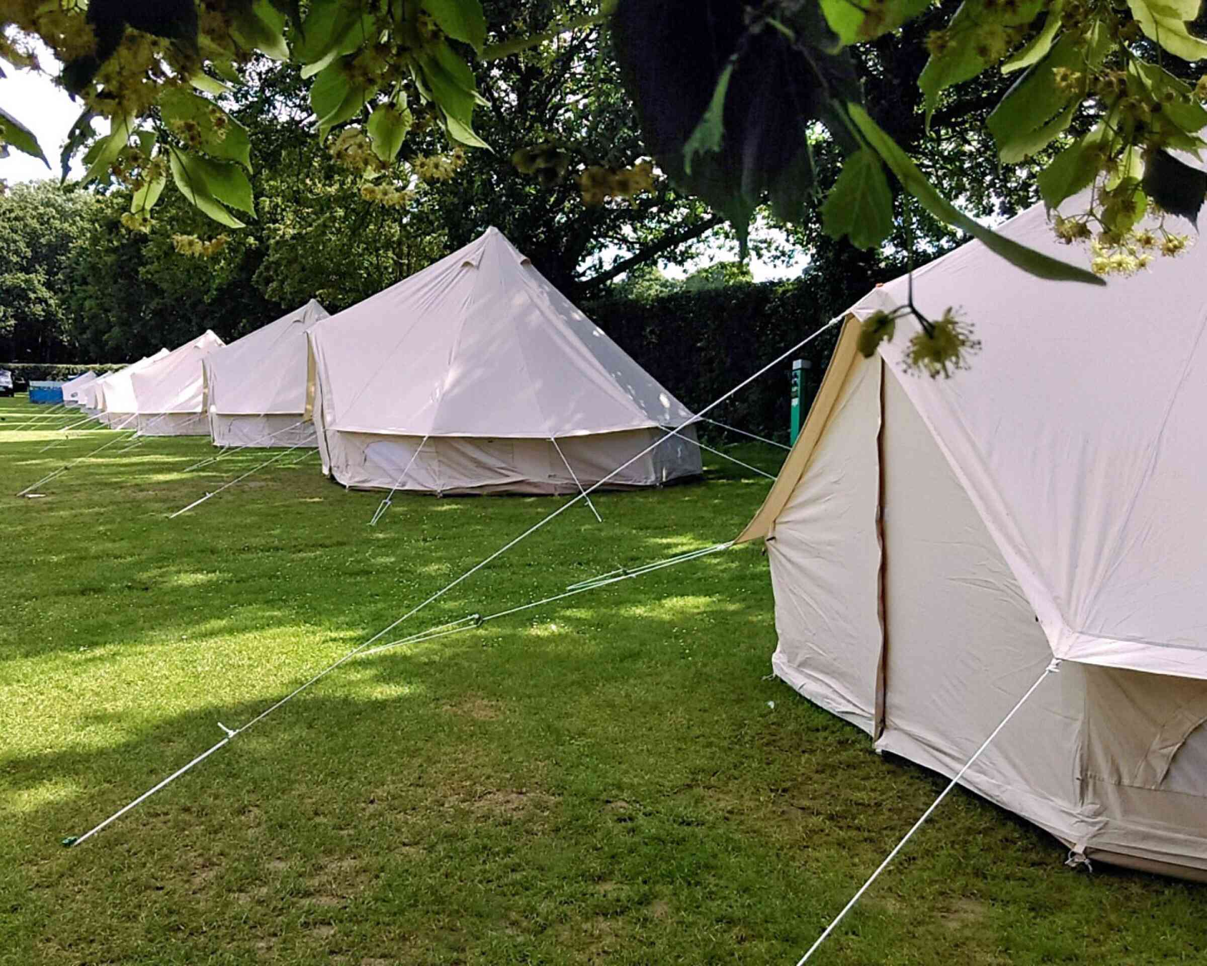 A row of white tents set up on a grassy field, surrounded by trees. The tents are neatly aligned, with ropes securing them to the ground.
