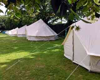 A row of white tents set up on a grassy field, surrounded by trees. The tents are neatly aligned, with ropes securing them to the ground.